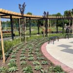 17.06.2021. Ostrowiec Świętokrzyski. Ogród Zdrowia / Emilia Sitarska / Radio Kielce