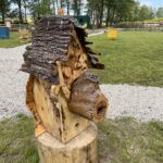 02.06.2021 Zochcinek. Zagroda pszczelarza przy Domu Pomocy Społecznej / Anna Głąb / Radio Kielce