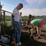 05.06.2021. Bełzów. Nasadzenia roślin miododajnych / Marta Gajda / Radio Kielce
