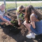 05.06.2021. Bełzów. Nasadzenia roślin miododajnych / Marta Gajda / Radio Kielce