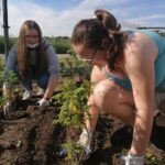 05.06.2021. Bełzów. Nasadzenia roślin miododajnych / Marta Gajda / Radio Kielce