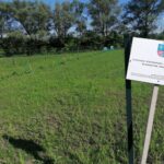 05.06.2021. Bełzów. Nasadzenia roślin miododajnych / Marta Gajda / Radio Kielce