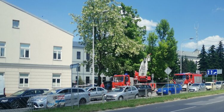 08.06.2021. Kielce. Usuwanie konaru drzewa przy ul. Seminaryjskiej / Piotr Wójcik / Radio Kielce