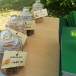 17.06.2021. Słupia Jędrzejowska. Dni Pola / Marta Gajda / Radio Kielce