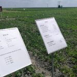 17.06.2021. Słupia Jędrzejowska. Dni Pola / Marta Gajda / Radio Kielce