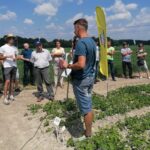 17.06.2021. Słupia Jędrzejowska. Dni Pola / Marta Gajda / Radio Kielce