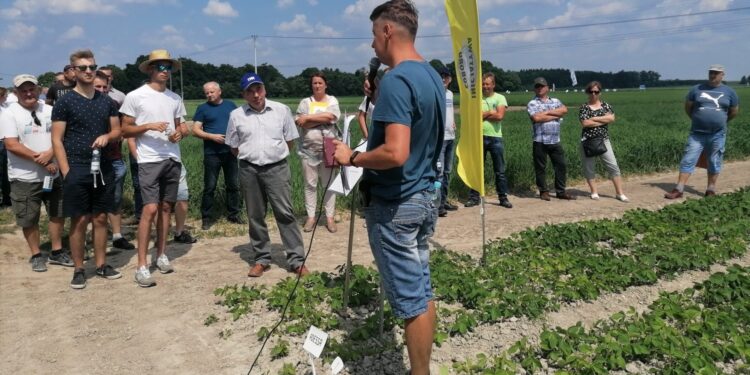 17.06.2021. Słupia Jędrzejowska. Dni Pola / Marta Gajda / Radio Kielce