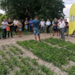 17.06.2021. Słupia Jędrzejowska. Dni Pola / Marta Gajda / Radio Kielce