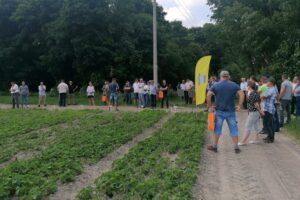 17.06.2021. Słupia Jędrzejowska. Dni Pola / Marta Gajda / Radio Kielce