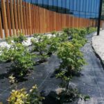 21.06.2021 Busko-Zdrój. Kompleks uzdrowiskowy / Marta Gajda / Radio Kielce