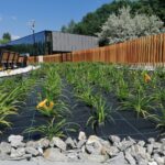 21.06.2021 Busko-Zdrój. Kompleks uzdrowiskowy / Marta Gajda / Radio Kielce