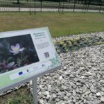 21.06.2021 Busko-Zdrój. Kompleks uzdrowiskowy / Marta Gajda / Radio Kielce