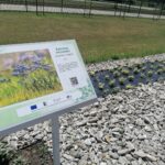 21.06.2021 Busko-Zdrój. Kompleks uzdrowiskowy / Marta Gajda / Radio Kielce