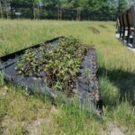21.06.2021 Busko-Zdrój. Kompleks uzdrowiskowy / Marta Gajda / Radio Kielce