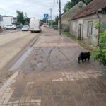 25.06.2021. Skalbmierz. Skutki wieczornej burzy / Marta Gajda / Radio Kielce