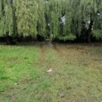 25.06.2021. Skalbmierz. Skutki wieczornej burzy / Marta Gajda / Radio Kielce