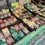 21.06.2021. Kielce. Jarmark kielecki na ulicy Sienkiewicza / Wiktor Taszłow / Radio Kielce