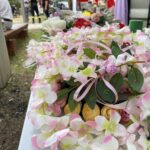 06.06.2021. Cedzyna. Festiwal Wiosny / Michał Kita / Radio Kielce