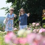 27.06.2021. Kielce. Ogród Botaniczny. Święto Róż / Wiktor Taszłow / Radio Kielce