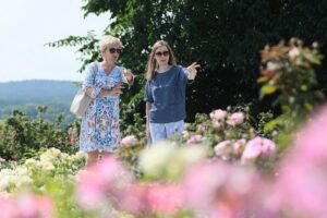 27.06.2021. Kielce. Ogród Botaniczny. Święto Róż / Wiktor Taszłow / Radio Kielce