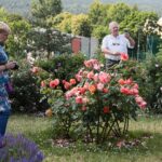 27.06.2021. Kielce. Ogród Botaniczny. Święto Róż / Wiktor Taszłow / Radio Kielce