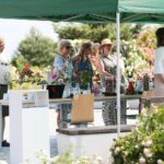 27.06.2021. Kielce. Ogród Botaniczny. Święto Róż / Wiktor Taszłow / Radio Kielce