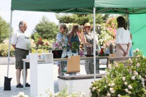 27.06.2021. Kielce. Ogród Botaniczny. Święto Róż / Wiktor Taszłow / Radio Kielce