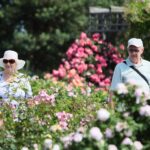 27.06.2021. Kielce. Ogród Botaniczny. Święto Róż / Wiktor Taszłow / Radio Kielce