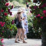 27.06.2021. Kielce. Ogród Botaniczny. Święto Róż / Wiktor Taszłow / Radio Kielce