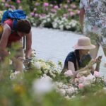 27.06.2021. Kielce. Ogród Botaniczny. Święto Róż / Wiktor Taszłow / Radio Kielce