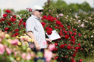 27.06.2021. Kielce. Ogród Botaniczny. Święto Róż / Wiktor Taszłow / Radio Kielce