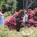 27.06.2021. Kielce. Ogród Botaniczny. Święto Róż / Wiktor Taszłow / Radio Kielce