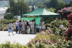 27.06.2021. Kielce. Ogród Botaniczny. Święto Róż / Wiktor Taszłow / Radio Kielce