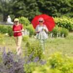 27.06.2021. Kielce. Ogród Botaniczny. Święto Róż / Wiktor Taszłow / Radio Kielce