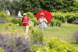 27.06.2021. Kielce. Ogród Botaniczny. Święto Róż / Wiktor Taszłow / Radio Kielce