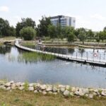 27.06.2021. Kielce. Ogród Botaniczny. Święto Róż / Wiktor Taszłow / Radio Kielce