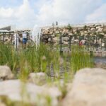 27.06.2021. Kielce. Ogród Botaniczny. Święto Róż / Wiktor Taszłow / Radio Kielce