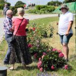 27.06.2021. Kielce. Ogród Botaniczny. Święto Róż / Wiktor Taszłow / Radio Kielce