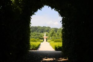 27.06.2021. Kielce. Ogród Botaniczny. Święto Róż / Wiktor Taszłow / Radio Kielce