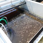 29.06.2021. Daleszyce. Otwarcie oczyszczalni ścieków / Wiktor Taszłow / Radio Kielce