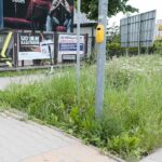 08.06.2021. Kielce. Wysokie trawy przy kieleckich ulicach / Wiktor Taszłow / Radio Kielce