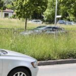 08.06.2021. Kielce. Wysokie trawy przy kieleckich ulicach / Wiktor Taszłow / Radio Kielce