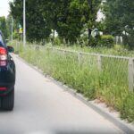 08.06.2021. Kielce. Wysokie trawy przy kieleckich ulicach / Wiktor Taszłow / Radio Kielce