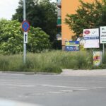 08.06.2021. Kielce. Wysokie trawy przy kieleckich ulicach / Wiktor Taszłow / Radio Kielce