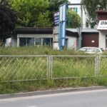 08.06.2021. Kielce. Wysokie trawy przy kieleckich ulicach / Wiktor Taszłow / Radio Kielce