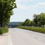 08.06.2021. Kielce. Wysokie trawy przy kieleckich ulicach / Wiktor Taszłow / Radio Kielce