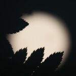 zaćmienie Księżyca, częściowe zaćmienie Słońca i kosmiczne „trojaczki”