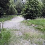 12.06.2021. Kielce. Osobowy ford wpadł do Silnicy / Wiktor Taszlow / Radio Kielce