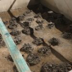 16.06.2021 Nowa Słupia. Muzeum Starożytnego Hutnictwa Świętokrzyskiego w przebudowie / Jarosław Kubalski / Radio Kielce