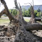 17.06.2016 Kielce. Przeszła nawałnica. Powalone drzewa przy ulicy Warszawskiej. / Jarosław Kubalski / Radio Kielce